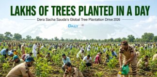 Lakhs of Trees Planted in a Day: Dera Sacha Sauda’s Global Plantation Drive Makes Headlines Dera Sacha Sauda tree plantation